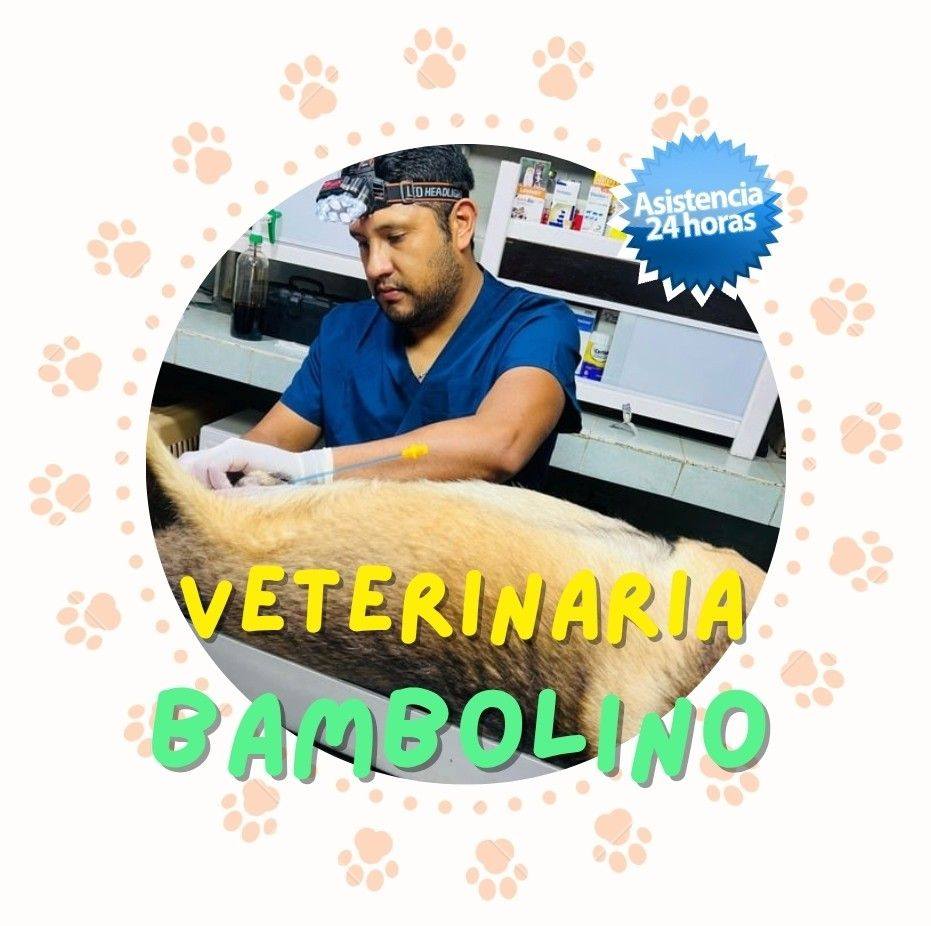 avatar de Jorge Daniel